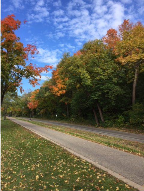 A portion of the route for Twin Cities Marathon