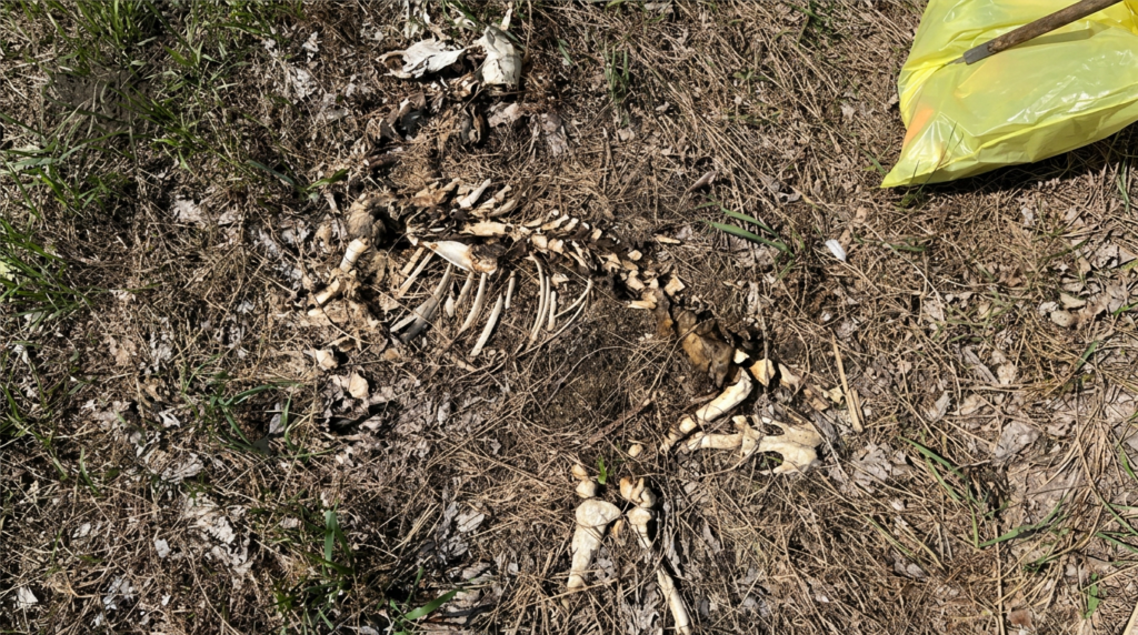 Resize and rotate 180 degrees